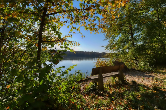 基础上的伙 基础上的伙